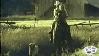 Video61