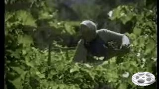 Mormon Video, Video69